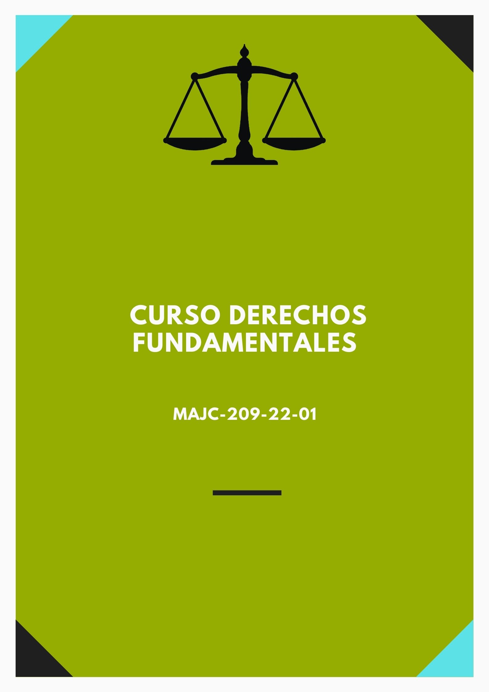 MAJC-209-22-01 Curso Derechos Fundamentales