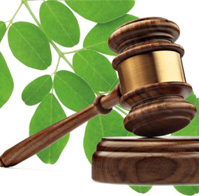 MAJP-303-22-01 Asignatura Derecho Penal Ambiental