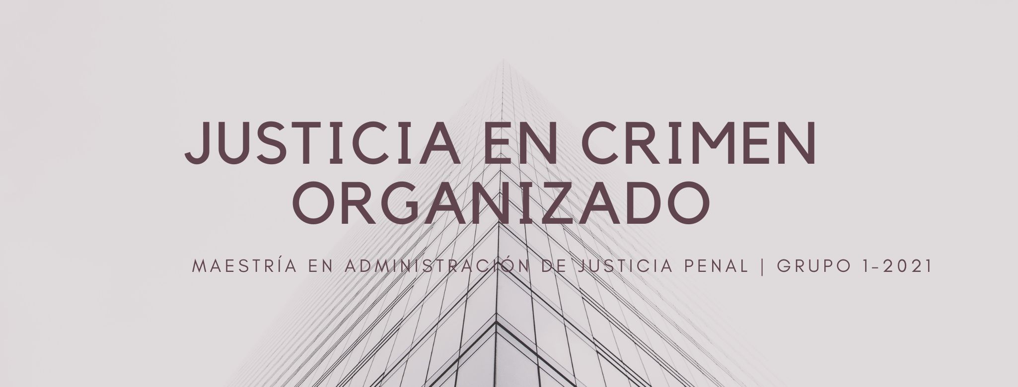 MAJP-308-23-01  Justicia en Crimen Organizado