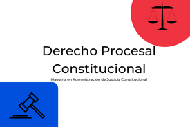 MAJC-213-23-02 Derecho Procesal Constitucional